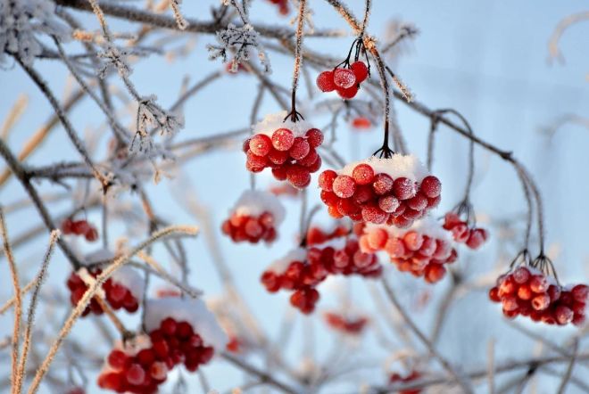 Погода в Украине 23 декабря: морозно, без существенных осадков