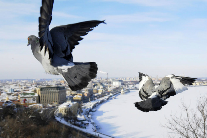 В Киеве 24 декабря ожидается потепление