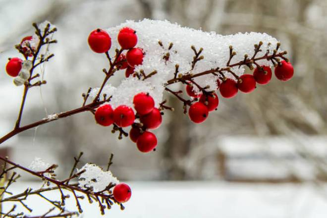 28 декабря в Украине будет облачно, снег, местами дождь, днем до +6 °С