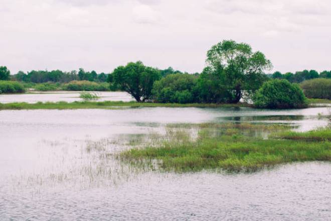 Предупреждение: на некоторых реках Украины ожидается подъем уровней воды