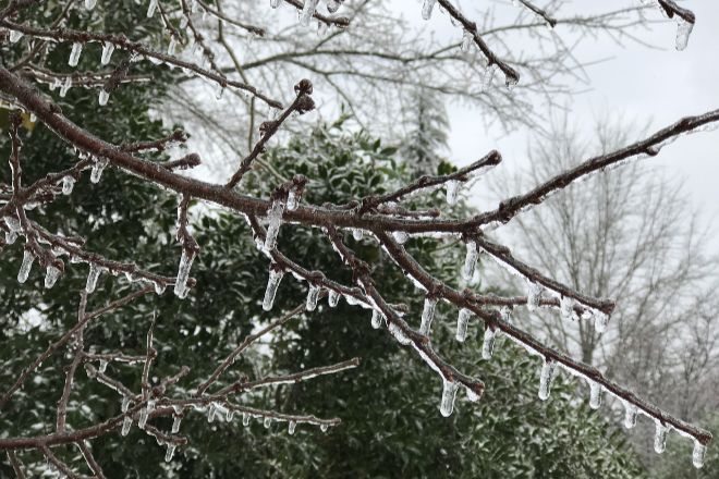 Жителей Закарпатья предупреждают об ухудшении погоды 6 января