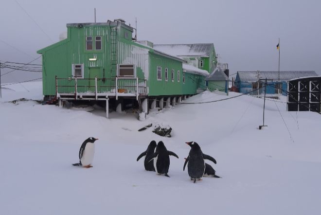 Станцию «Академик Вернадский» в Антарктиде защитят от ветров и морозов