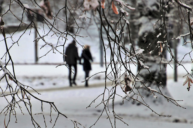 Сильный ветер, гололедица и туман: 16 января на западе Украины объявлен первый уровень опасности