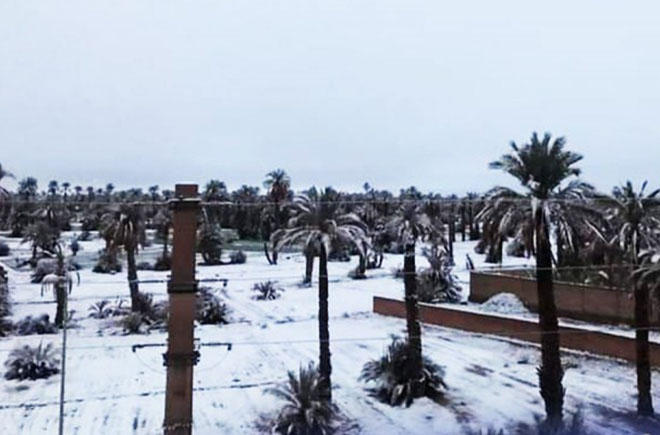 Редкий снегопад обрушился на Марокко 