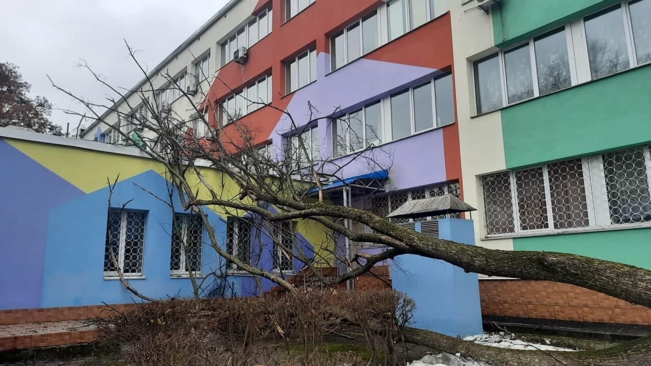 Погодный "апокалипсис" в Украине: десятки городов без света, падают новогодние елки и рекламные щиты