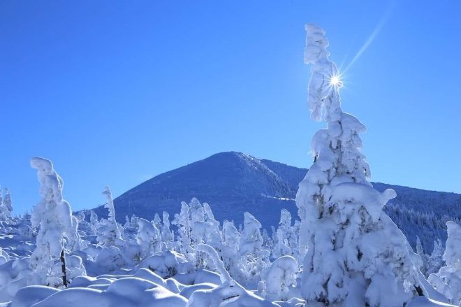 11 января в горах Закарпатской области сохранится высокий риск схода лавин