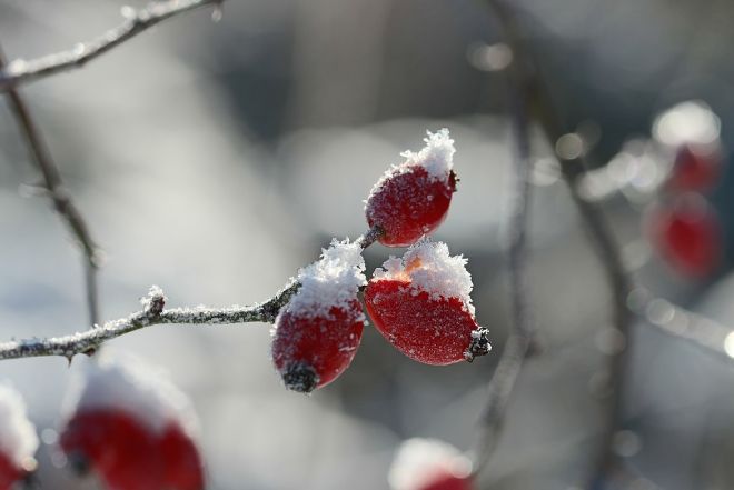Погода в Украине 13 января: облачно с прояснениями, местами снег, дожди