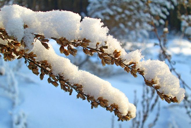 Погода в Украине 11 января: облачно с прояснениями, снег