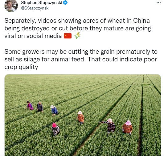 Путин нанес удар в спину Китая, заблокировав зерновой экспорт Украины