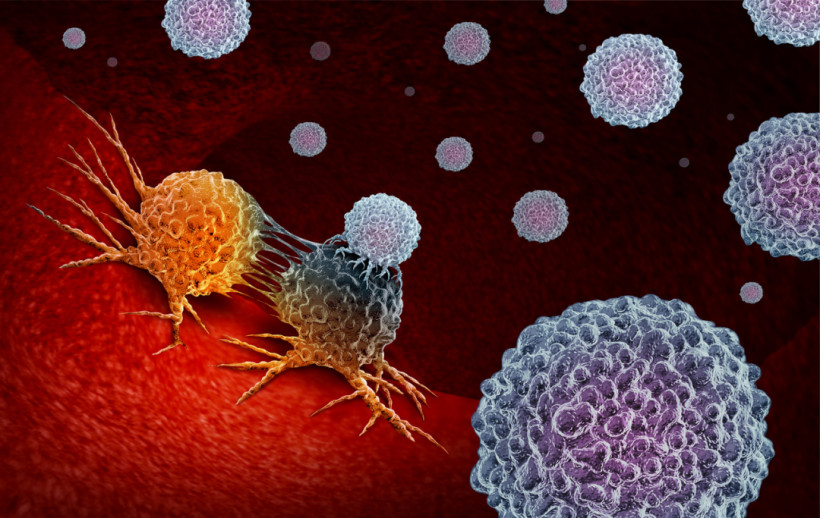 Израильская нанотехнология поможет уменьшить побочные эффекты химиотерапии