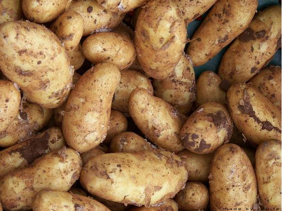 Гастроэнтеролог предупредила о последствиях употребления проросшей и зеленой картошки