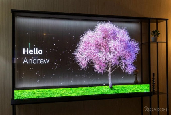 LG показала первый в мире беспроводной прозрачный OLED-телевизор (7 фото)