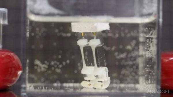 Японцы создали двуногого робота с приводом из живой мышечной ткани (2 фото)