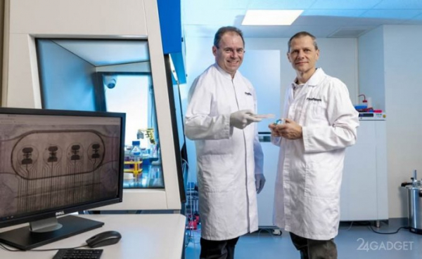 Запущен первый в мире биопроцессор из 16 органоидов мозга с удалённым доступом