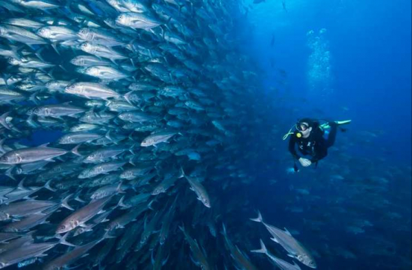 Водные виды спорта на море: чем заняться в отпуске