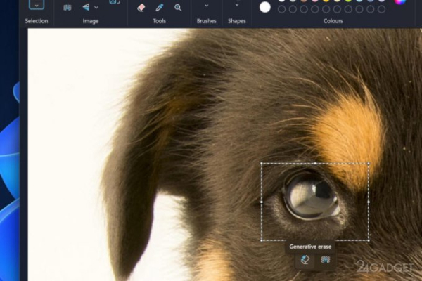 Удаление объектов и фона в Microsoft Paint стало доступным всем пользователям Windows 11