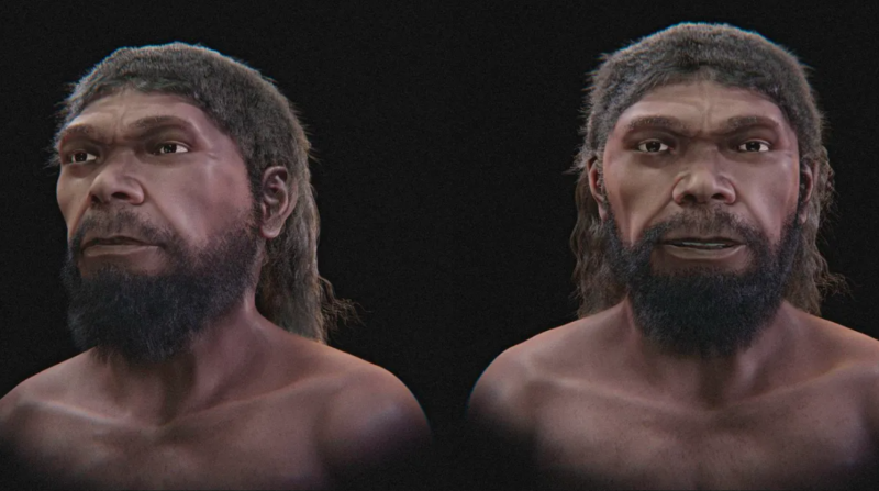 Ошибочно считали неандертальцем: ученые показали 3D-модель самого древнего Homo sapiens