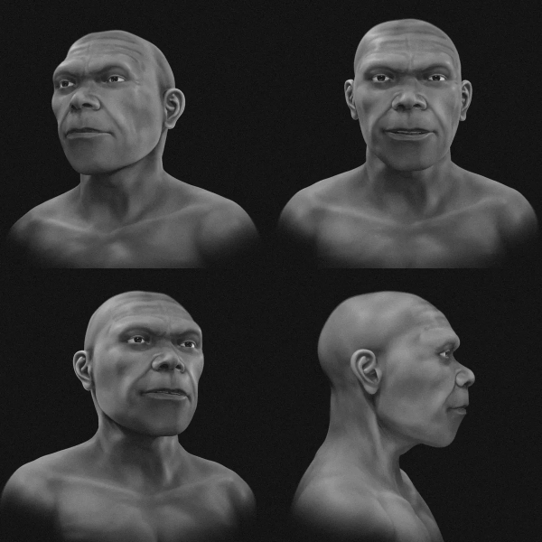 Ошибочно считали неандертальцем: ученые показали 3D-модель самого древнего Homo sapiens